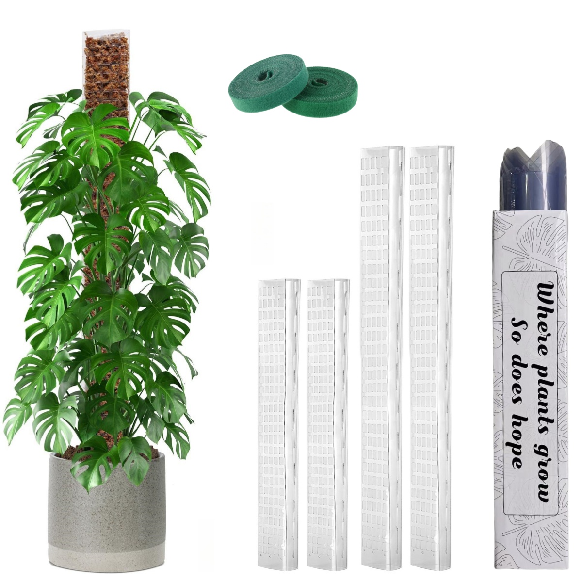 Poteau de mousse en plastique, - Sphagnum Moss Dry avis et prix