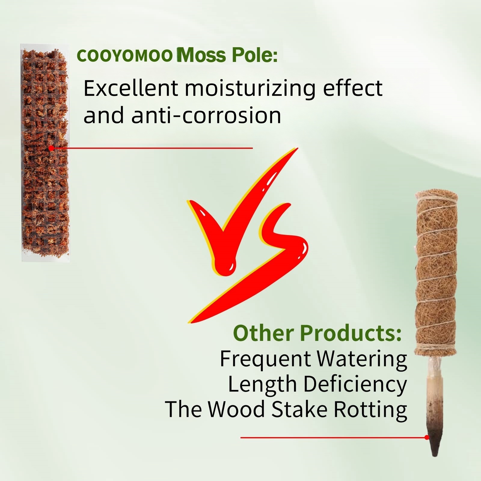 Poteau de mousse en plastique, - Sphagnum Moss Dry avis et prix