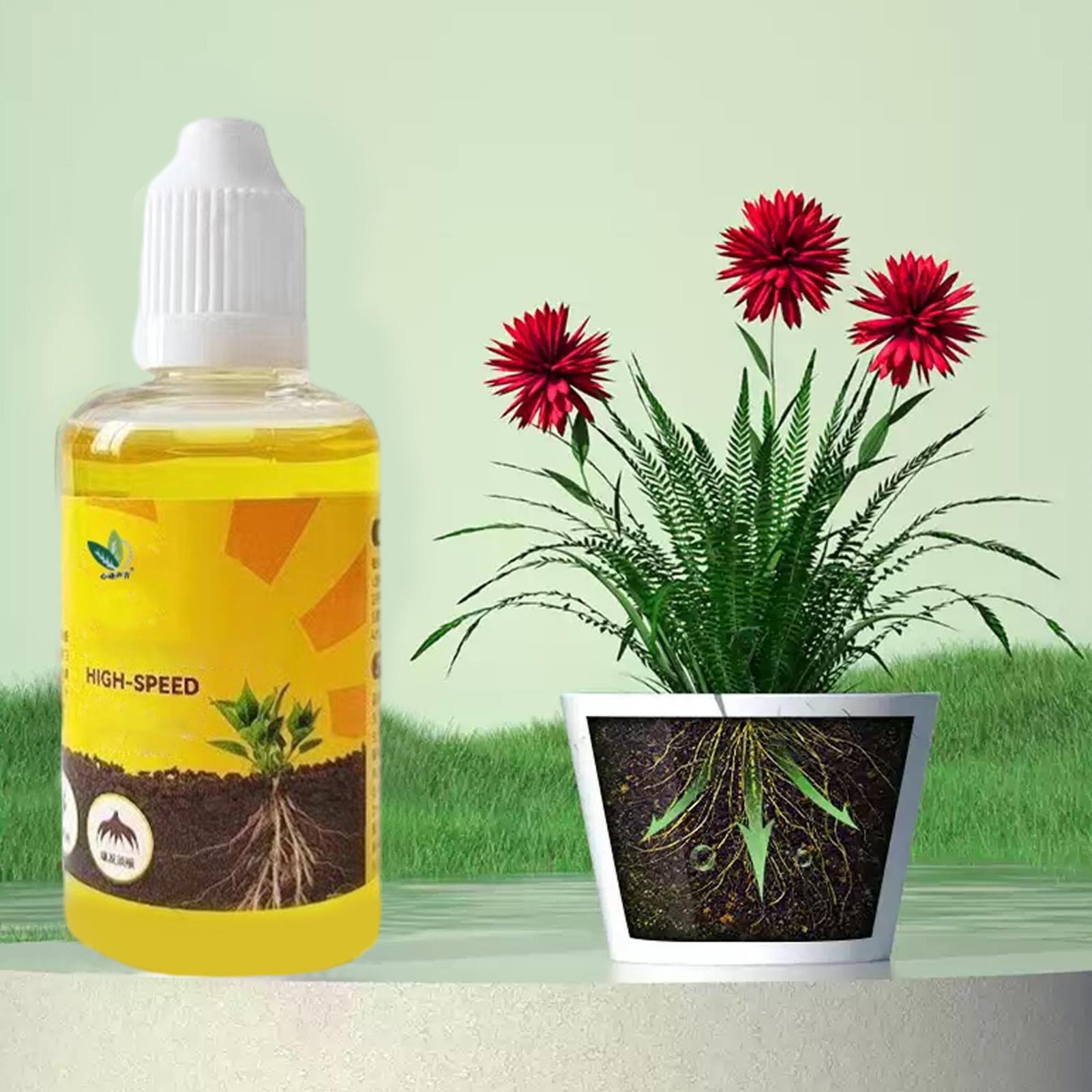 Solution d'enracinement rapide - Root Stimulator Liquid avis et prix