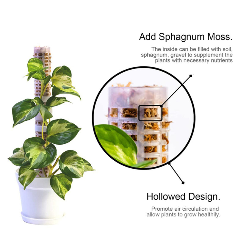 Colonne de support pour plante - Sphagnum Moss Dry avis et prix