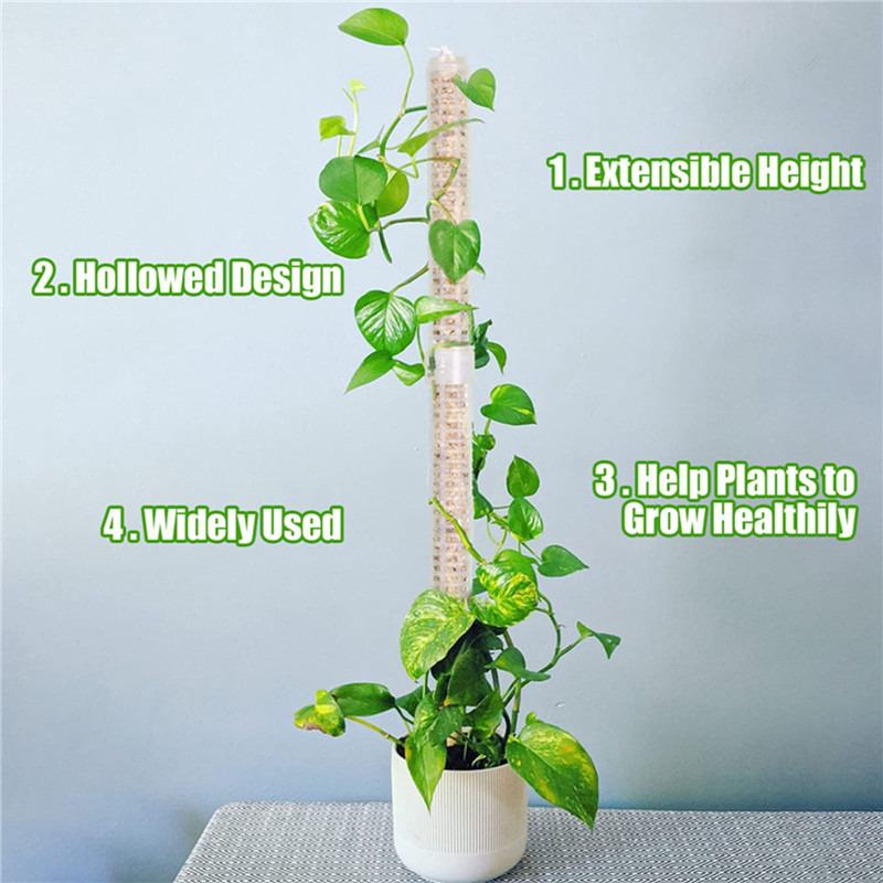 Colonne de support pour plante - Sphagnum Moss Dry avis et prix