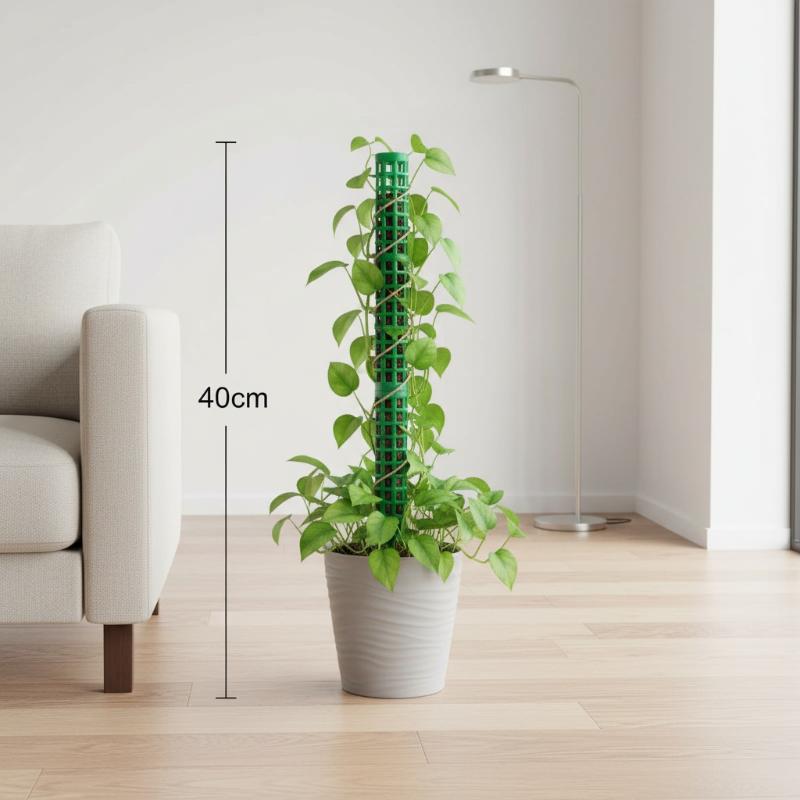 Support de Plantes Grimpantes  - Sphagnum Moss Dry avis et prix