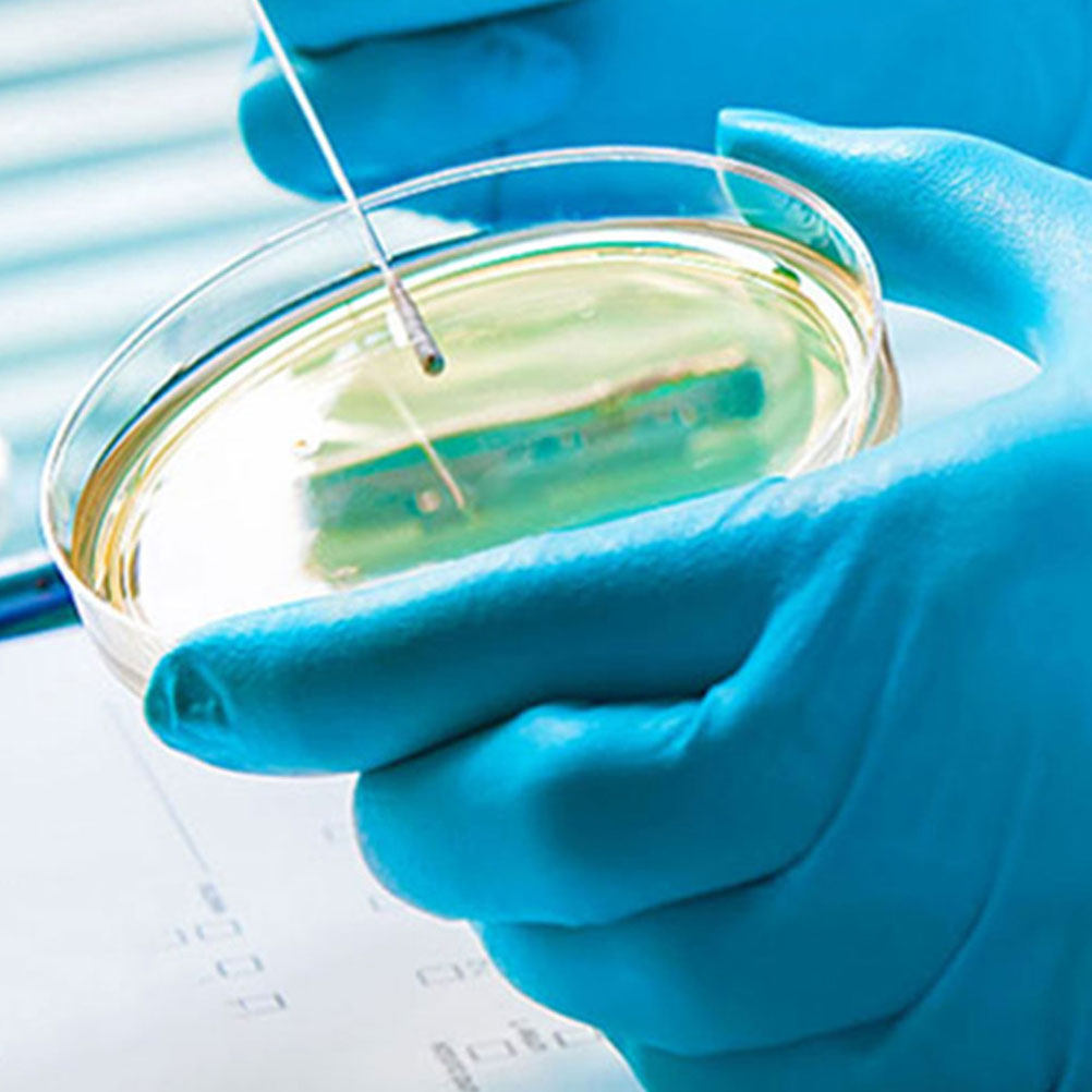 Plaques de Petri en plastique  - Agar Tissue Culture avis et prix