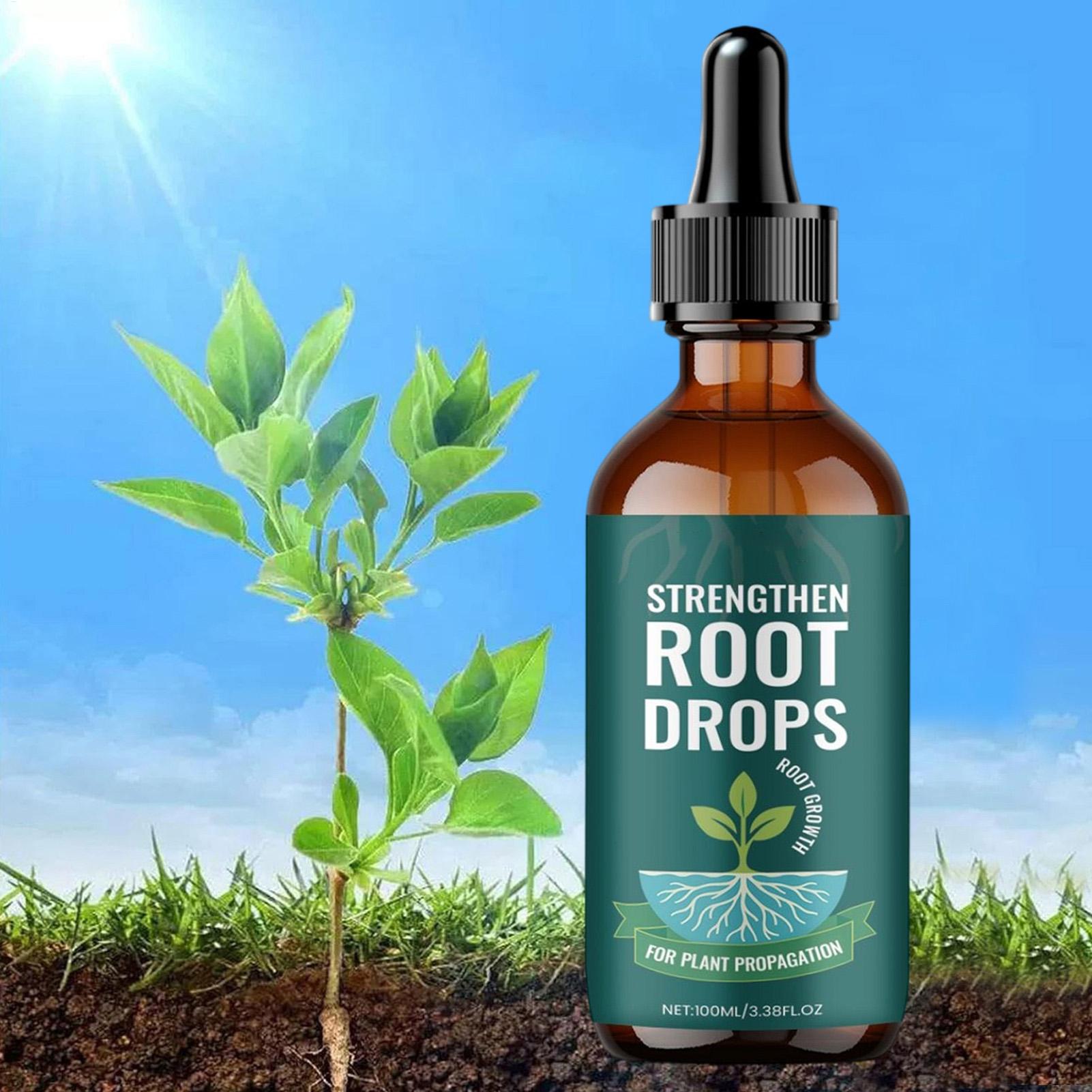 Gouttes liquides pour l'enraci - Root Stimulator Liquid avis et prix