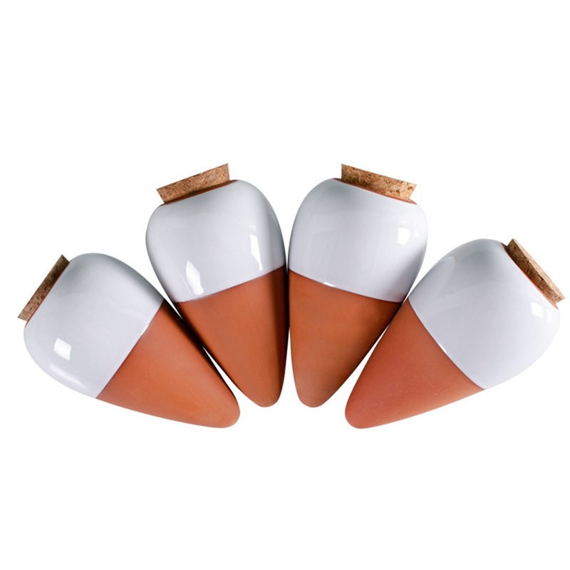 Boule d'arrosage pour plantes, - Self Watering Insert avis et prix