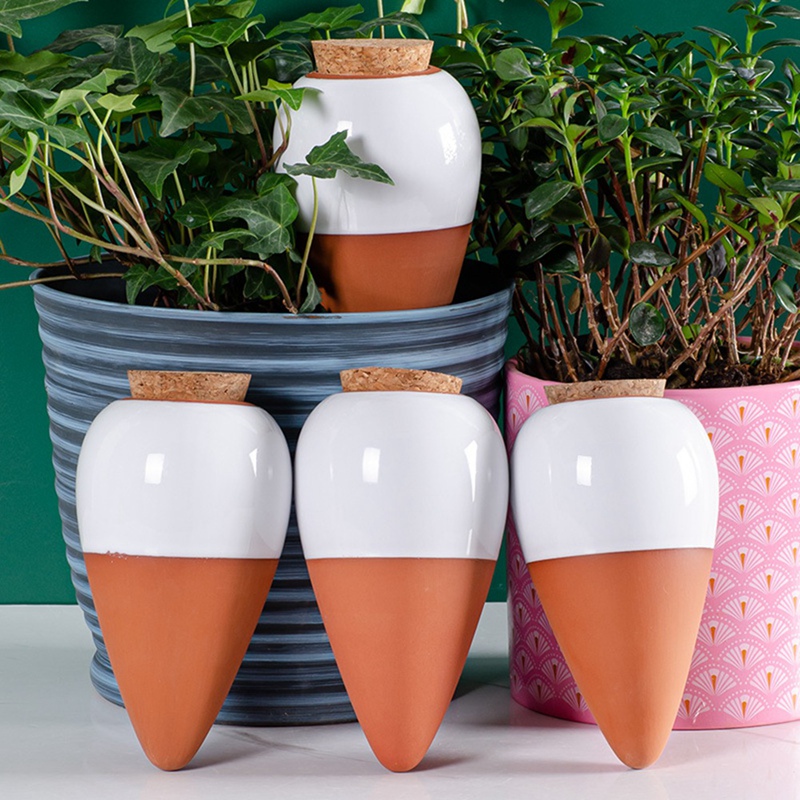 Boule d'arrosage pour plantes, - Self Watering Insert avis et prix