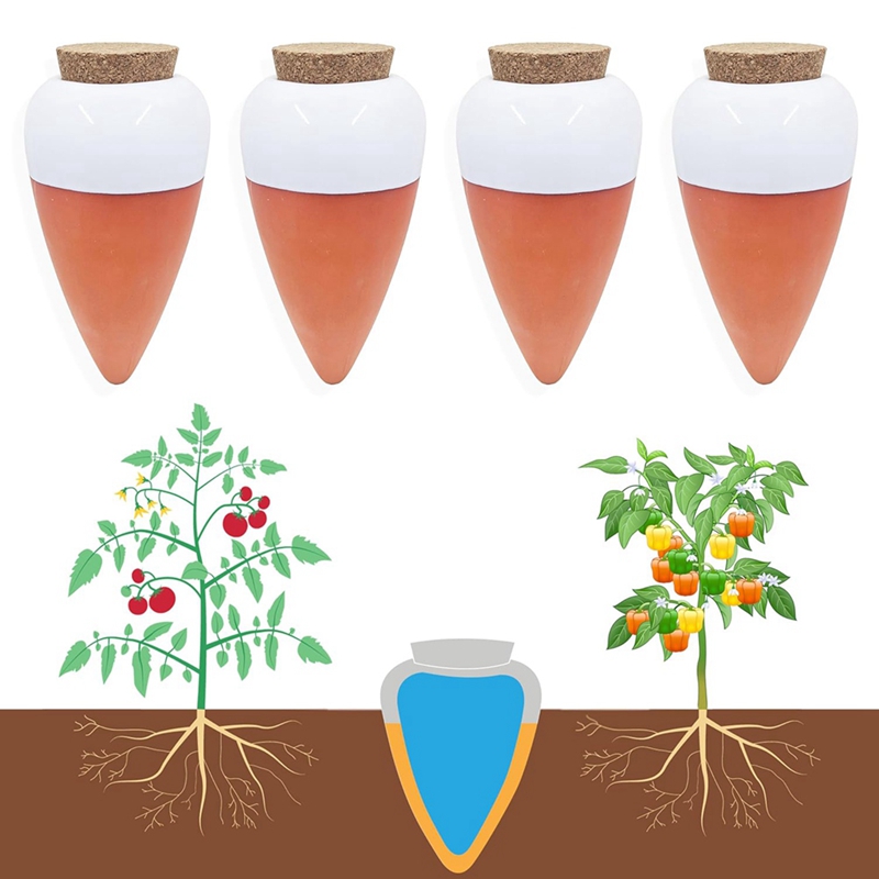 Boule d'arrosage pour plantes, - Self Watering Insert avis et prix