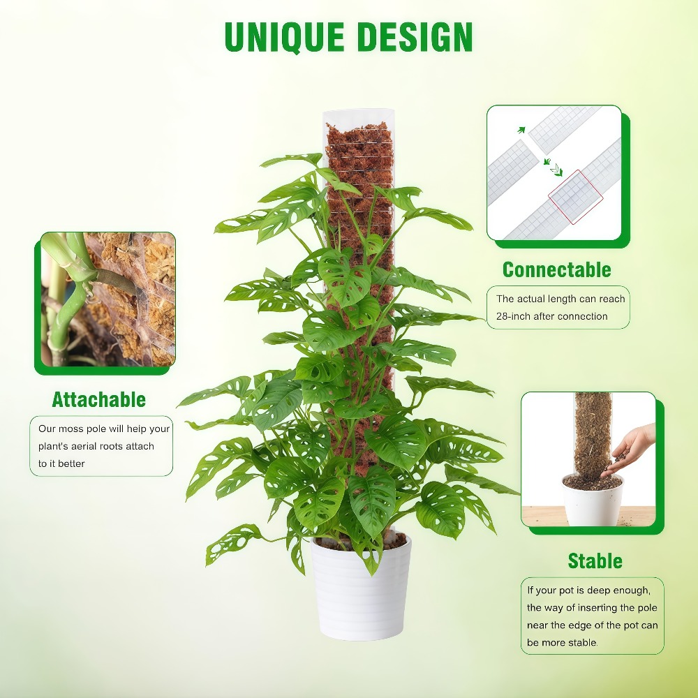 Support en plastique pour plan - Sphagnum Moss Dry avis et prix